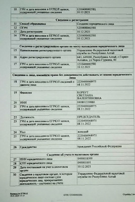 Выписка ЕГРЮЛ стр2